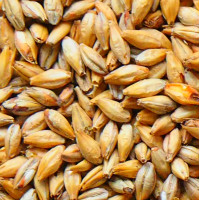 Солод базовый Pilsen светлый